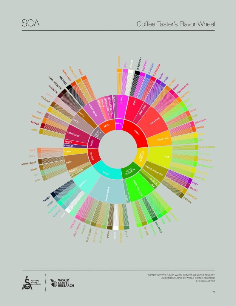 Counter Culture Coffee Taster's Flavor Wheel – NPR Coffee Club